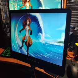 LCD monitor from laptop LCD screen v2