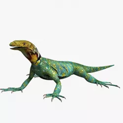 Lizard 3d model