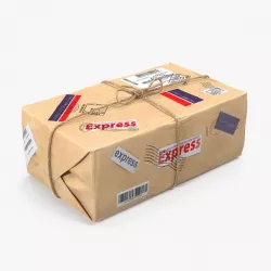 Mail Package 3d model