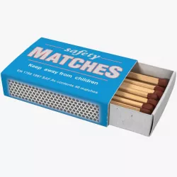 Matchsticks in Cardboard Matchbox 3d model