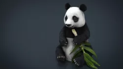 PANDA 3d model