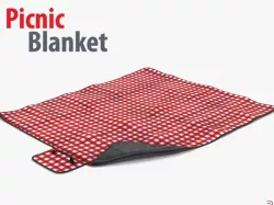 Picnic Blanket 3d model