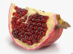 Pomegranate Slice 3d model
