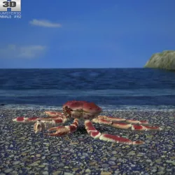 Red King Crab 3d model