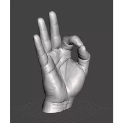 Right Hand Model