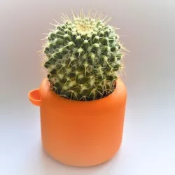 Root Watering Plant Pot