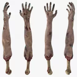Single Zombie Arm 3d model