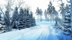 Snow Scene 3d model