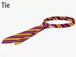 Tie 3d model