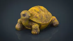 Turtle 3d model
