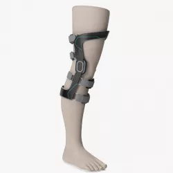 Upright Knee Brace 3d model