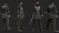 Viking 3d model
