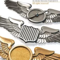 Wings badges 3d model