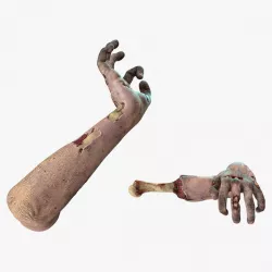 Zombie Arms Attack Pose 3d model
