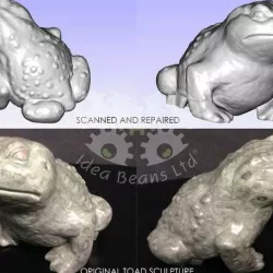 3D Scanned Toad (Gama)