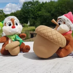 Acorn - Nuts - Nuts