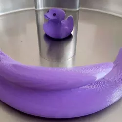 Anamorphic Rubber Duck