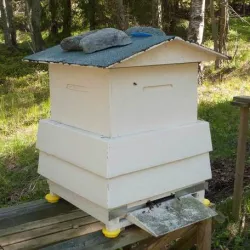 Beehive ant stopper