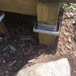 Beehive Stand Ant Trap