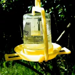 bird waterer