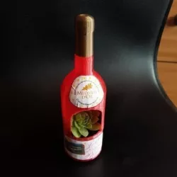 bottle of wine flowerpot wine