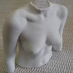 Breast