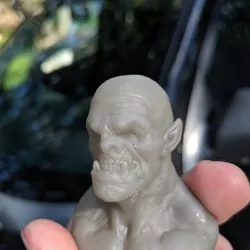 Brute Orc