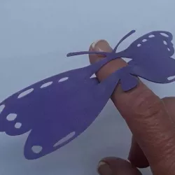 Butterfly Fun