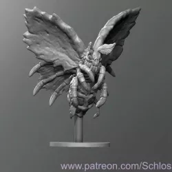 Cadaver Moth