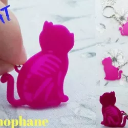 Cat skeleton keychain lithophane