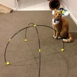 Cat Tent