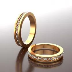 Chain ring