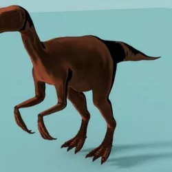 Chirostenotes Dinosaur