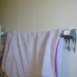 Dolphin towel holder
