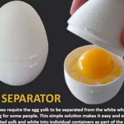 Egg Separator