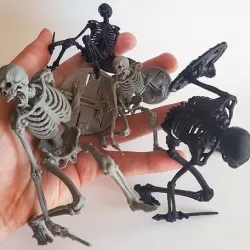Evil Skeleton Warrior