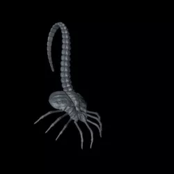 facehugger alien