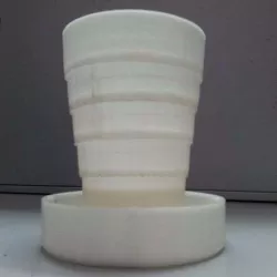 Folding Cup