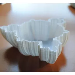 Fractal Bowl