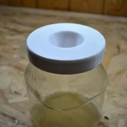 fruit fly trap