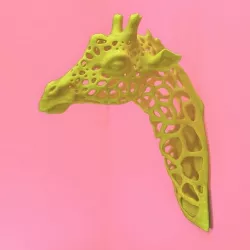 Giraffe Spots