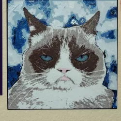 Grumpy Cat