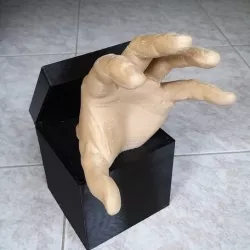 HAND ... of a famous family.