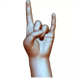 Hard rock hand gesture male