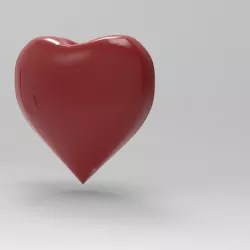 Heart