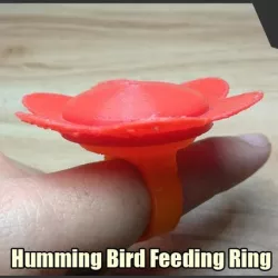 Hummingbird Feeding Ring
