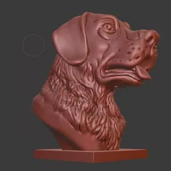Labrador Retriever bust (Dog head)
