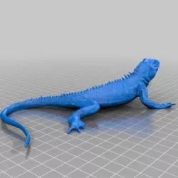 Lizard