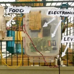 Operant conditioning chamber