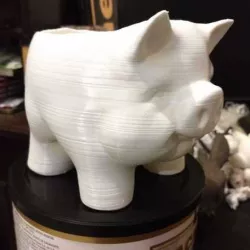 Piggyplantpot